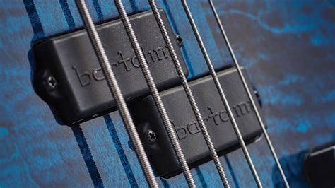 bass player died yesterday.
